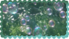 bubbles over leaves